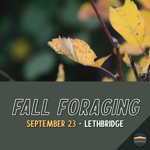 Survival: Fall Foraging - Lethbridge
